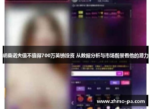 胡桑诺夫值不值得700万英镑投资 从数据分析与市场前景看他的潜力
